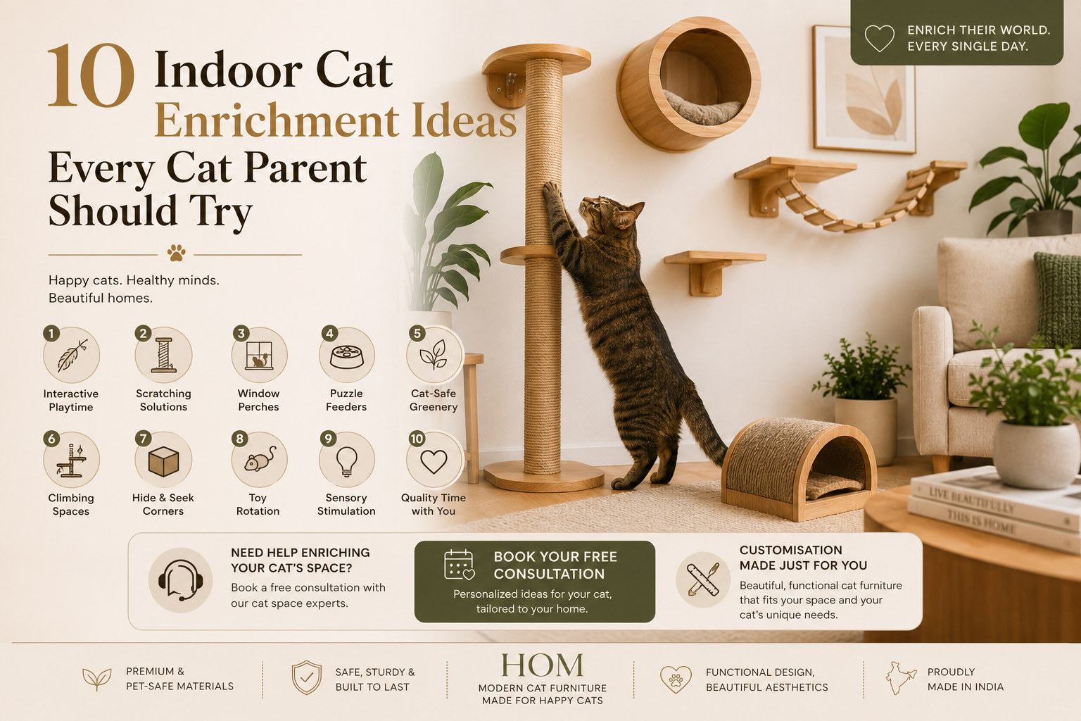 10 Indoor Cat Enrichment Ideas Every Cat Parent Should Try 🐾