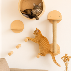 Collection image for: Wall Mount Furniture