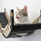 Cat Bridges