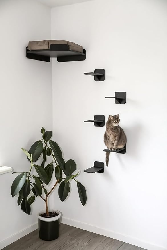 House of Meows – Corner Cat Wall Furniture | Climbing Shelves & Wall Perch