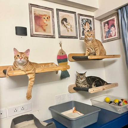 House of Meows – Wall Mounted Cat Hammock