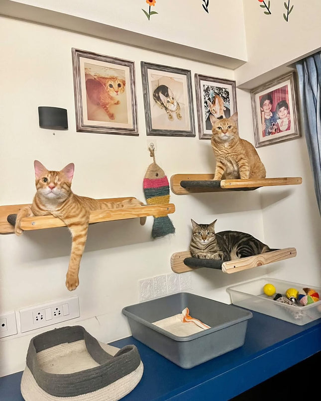 House of Meows – Wall Mounted Cat Hammock