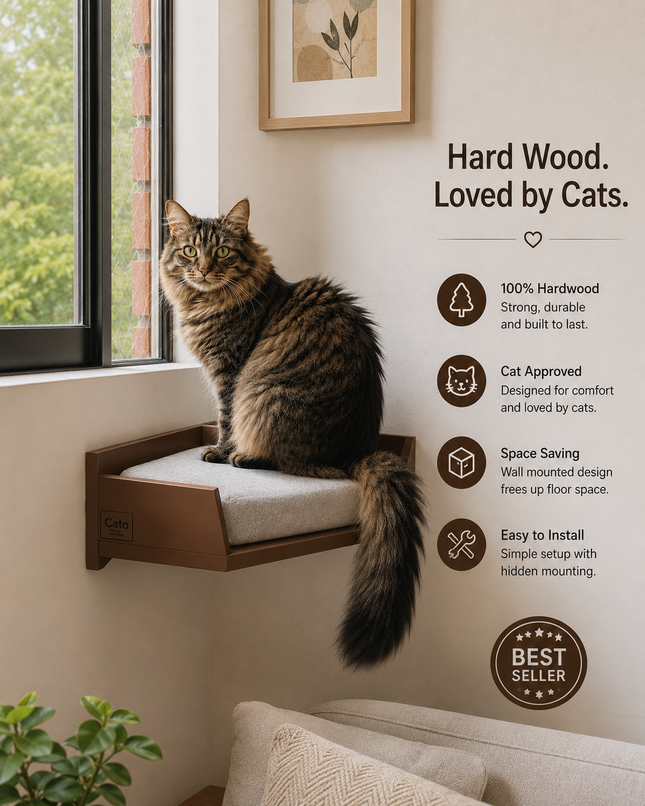 House Of Meows - Wall Mounted Wooden Cat Corner Shelf