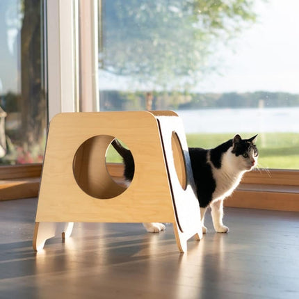 Modern Bed For Cats