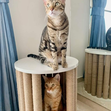 House of Meows 3-in-1 Cat Scratcher House  | Multipurpose Cat Furniture