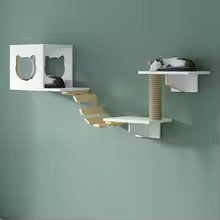 House of Meows – Wall Mounted Cat Activity Gym |Climbing Set with Bridge & Hideout | Perfect for Multi-Cat Homes and Boarding Spaces