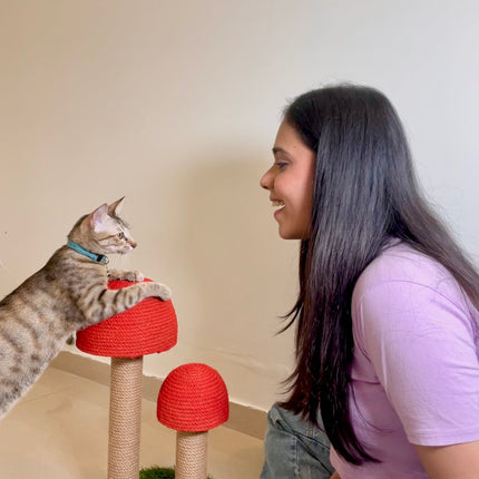 House of Meows – Mushroom Scratcher