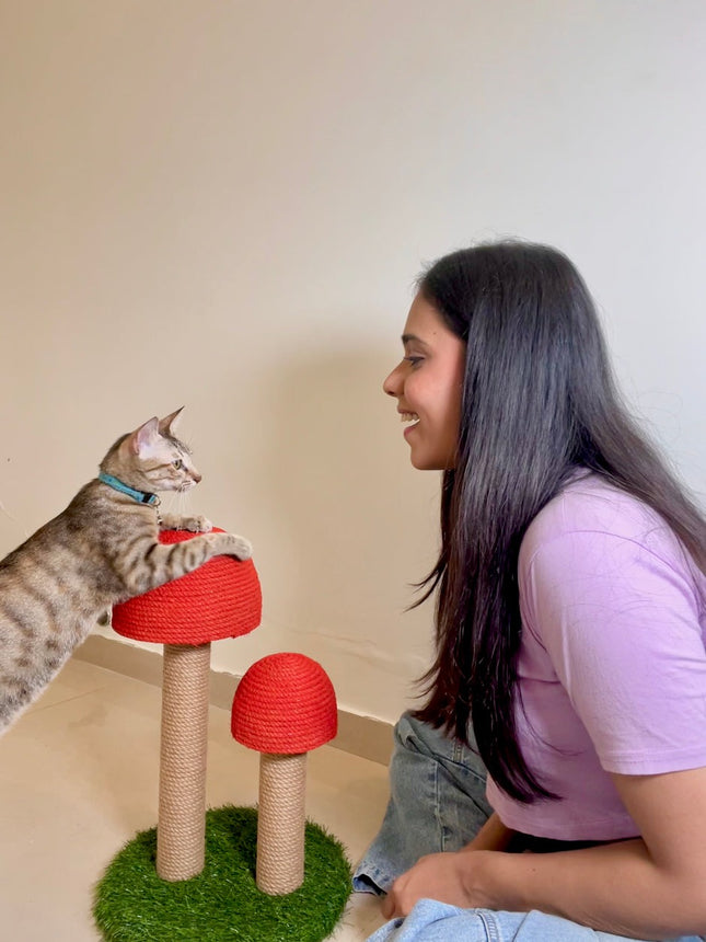 House of Meows – Mushroom Scratcher