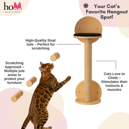 HOM Feline Haven Wall Kit ( Black color )