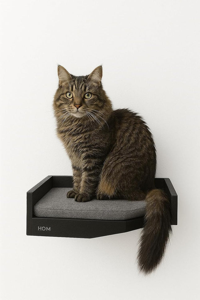 House Of Meows - Wall Mounted Wooden Cat Corner Shelf