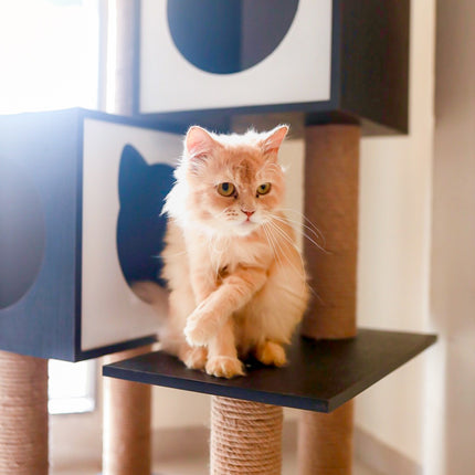 House of Meows - Midnight Paws Cat Haven | Black and White Cat Tree