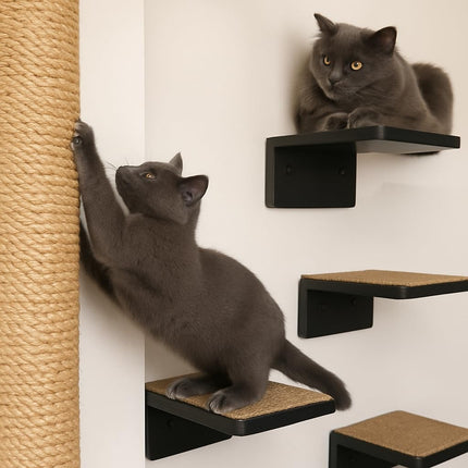 House of Meows – Panther’s Perch Black Pole Scratcher Set (Best Seller)