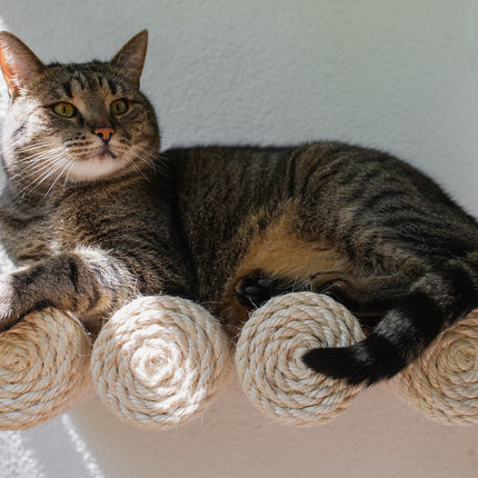 House of Meows Vertical Cat Climbing Wall Step | Jute Wall Mounted Cat Scratcher