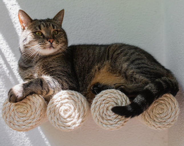 House of Meows Vertical Cat Climbing Wall Step | Jute Wall Mounted Cat Scratcher