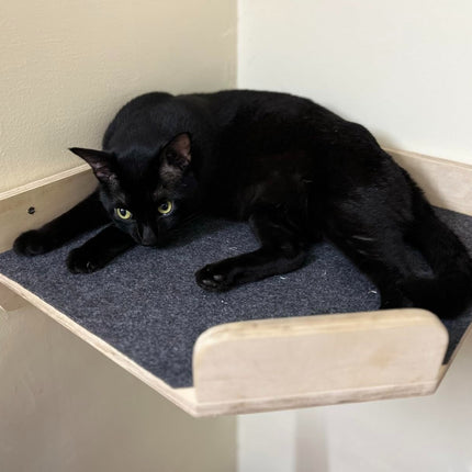 House Of Meows - Wall Mounted Wooden Cat Corner Shelf