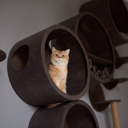 House of Meows – Whisker’s Wonderland | Cat Jungle Gym
