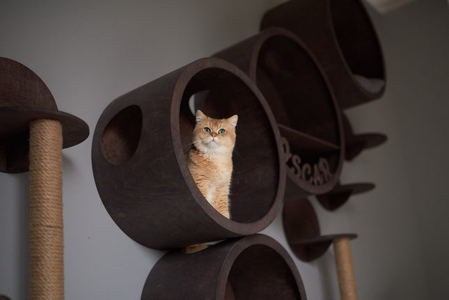 House of Meows – Whisker’s Wonderland | Cat Jungle Gym