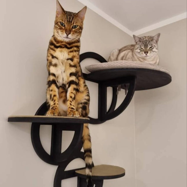 House of Meows – BubbleStep Cat Wall Shelf Set | Modern Wall-Mounted Cat Climber (Black