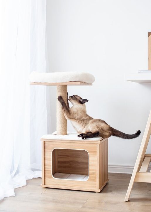 House of Meows – Mini Cat Tree Condo | 2-Tier Wooden Cat Tower with Scratcher