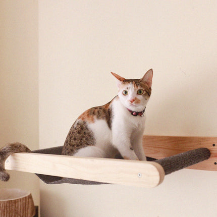 House of Meows – Wall Mounted Cat Hammock