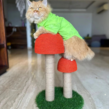 House of Meows – Mushroom Scratcher