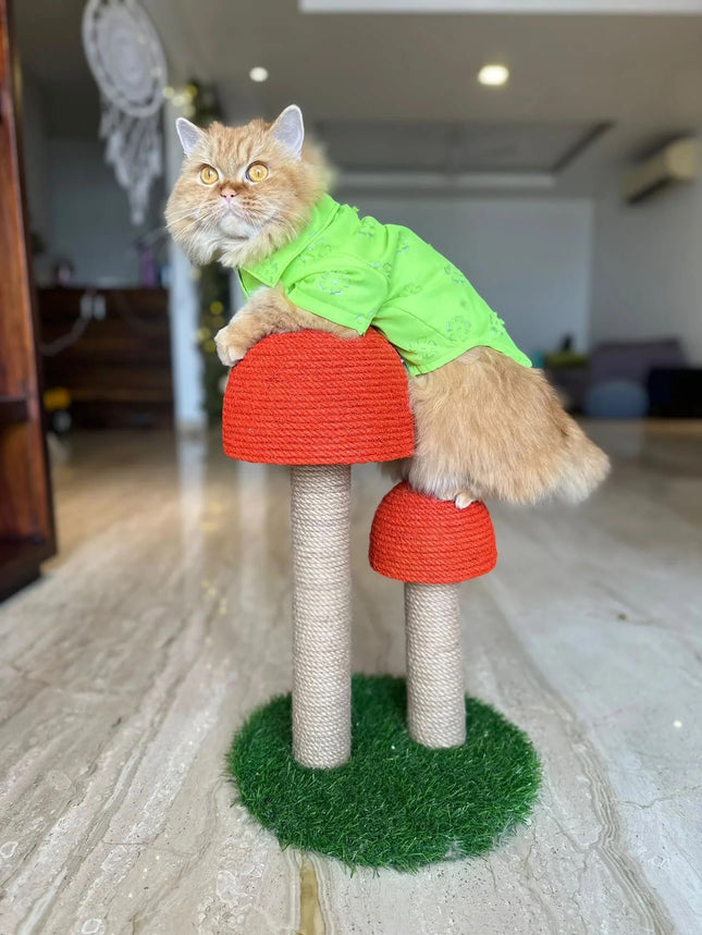 House of Meows – Mushroom Scratcher