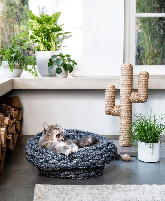 House of Meows - Desert Oasis Cactus Scratcher