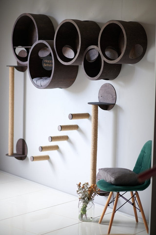 House of Meows – Whisker’s Wonderland | Cat Jungle Gym