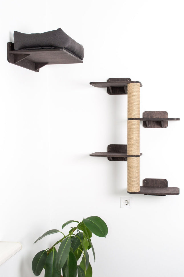 House of Meows – WallTrail Cat Climber | Step, Scratch & Perch Combo