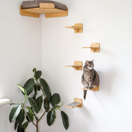 House of Meows – Corner Cat Wall Furniture | Climbing Shelves & Wall Perch
