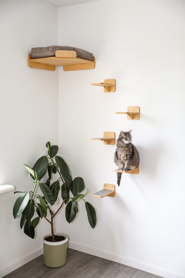 House of Meows – Corner Cat Wall Furniture | Climbing Shelves & Wall Perch