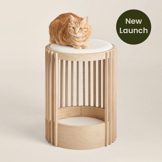 House of Meows – HaloPod Cat Perch | Modern Wooden Cat Loung