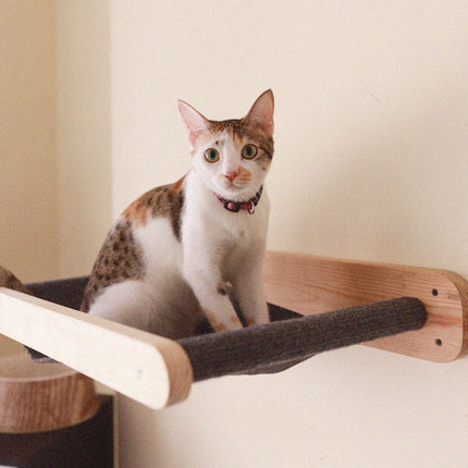 House of Meows – Cat Wall Activity Set | Hammock, Jute Steps & Pole Scratcher