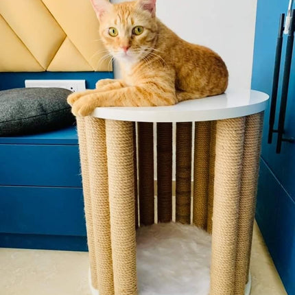 House of Meows 3-in-1 Cat Scratcher House  | Multipurpose Cat Furniture
