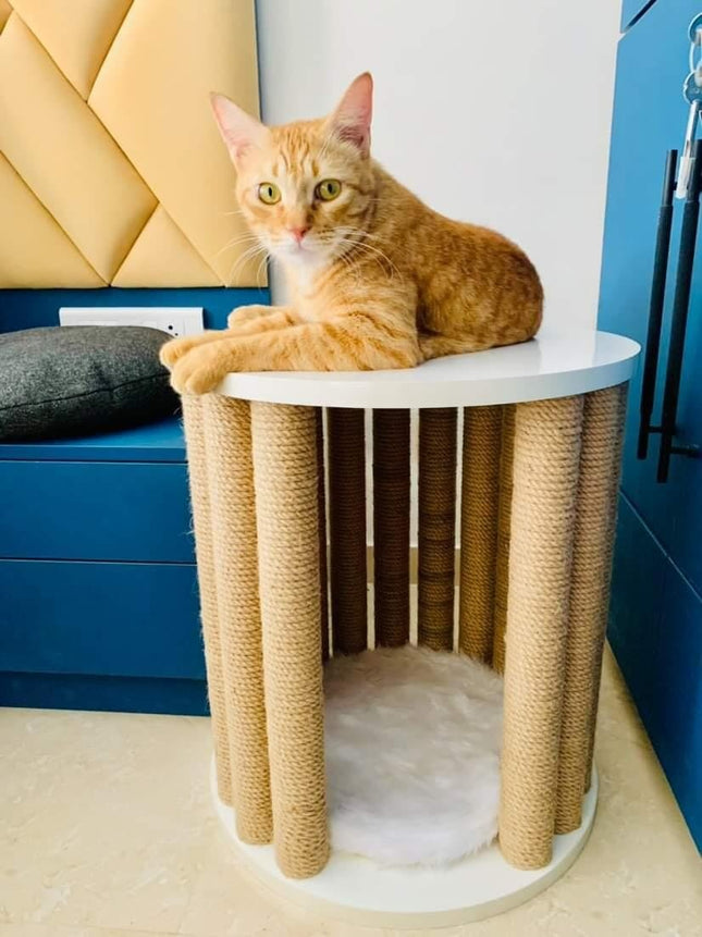 House of Meows 3-in-1 Cat Scratcher House  | Multipurpose Cat Furniture