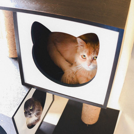House of Meows - Midnight Paws Cat Haven | Black and White Cat Tree