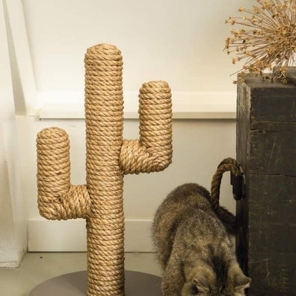 House of Meows - Desert Oasis Cactus Scratcher