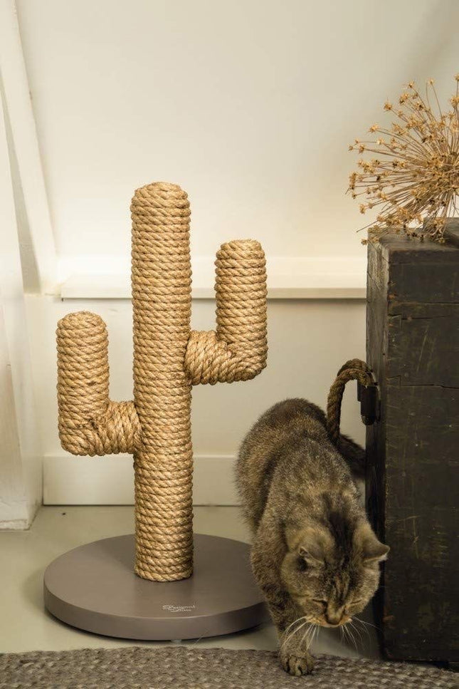 House of Meows - Desert Oasis Cactus Scratcher