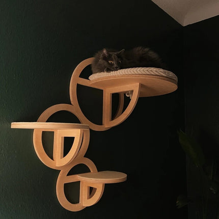 House of Meows – BubbleStep Cat Wall Shelf Set | Modern Wall-Mounted Cat Climber (Black