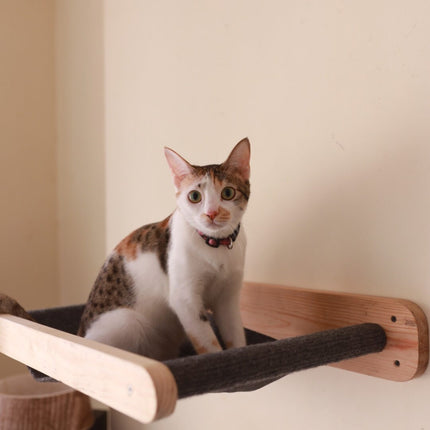 House of Meows – Wall Mounted Cat Hammock