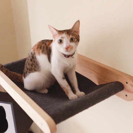 House of Meows – Wall Mounted Cat Hammock