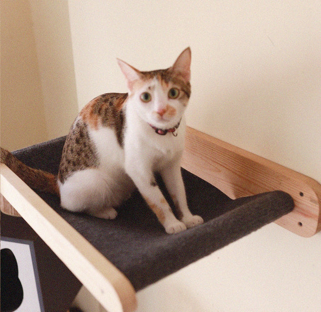 House of Meows – Wall Mounted Cat Hammock