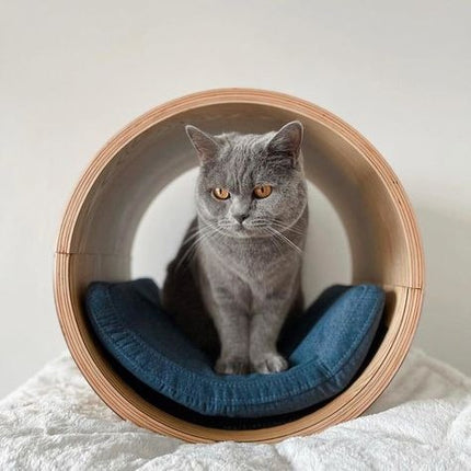 House of Meows Orbit Cat Pod – Wall Mounted Floating Cat Bed