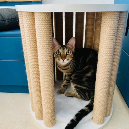 House of Meows 3-in-1 Cat Scratcher House  | Multipurpose Cat Furniture