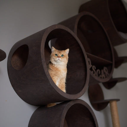 House of Meows – Whisker’s Wonderland | Cat Jungle Gym