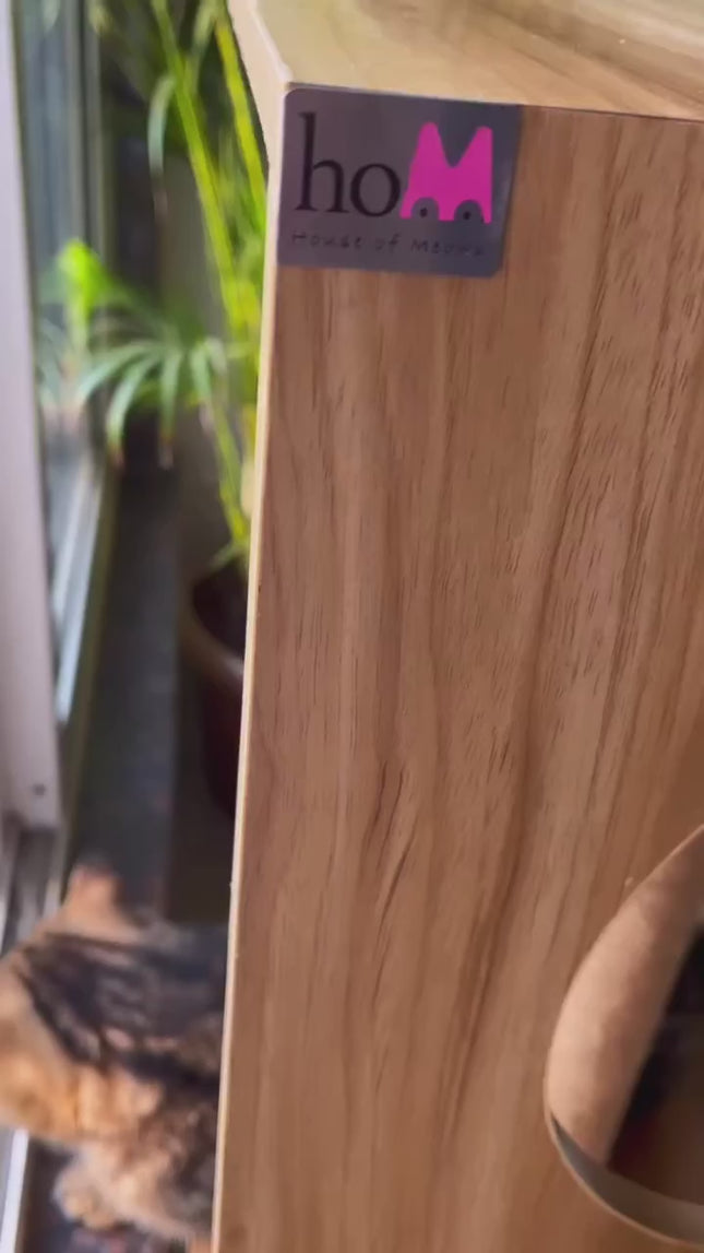House of Meows -  Oscar Modern Cat Tree