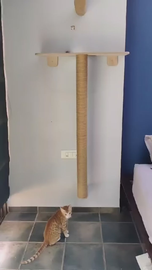 House of Meows – Cat Wall Activity Set | Hammock, Jute Steps & Pole Scratcher