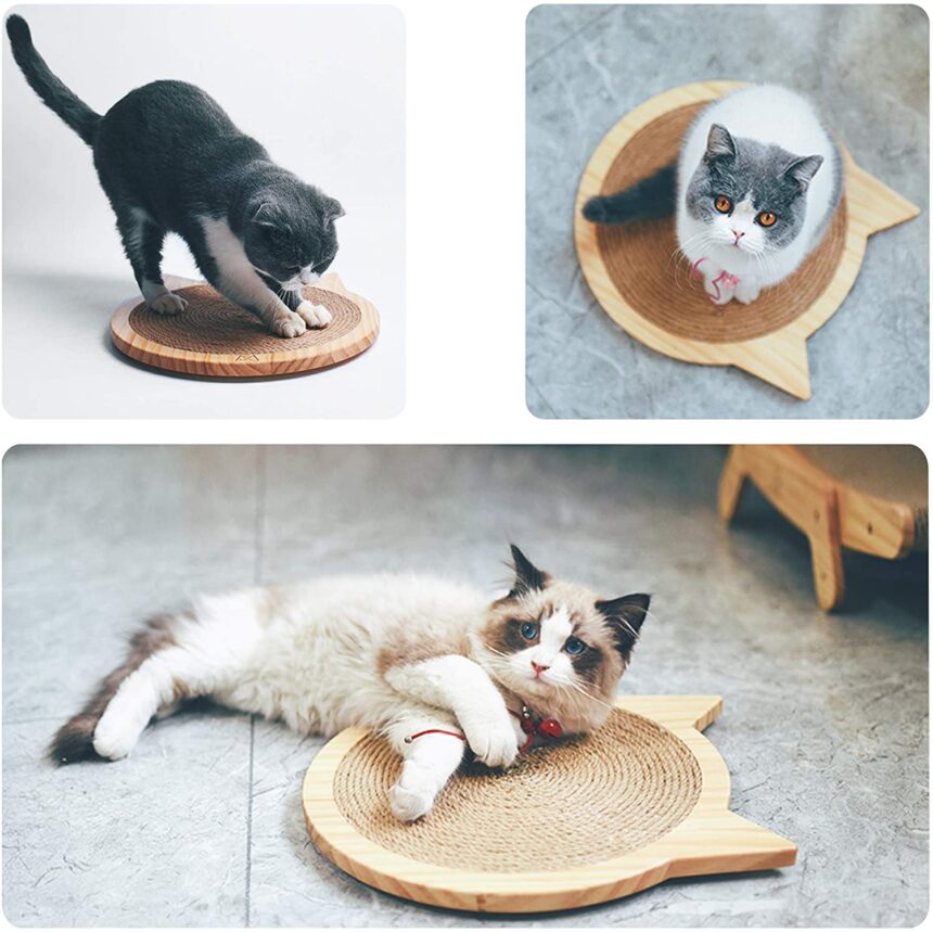 Discover the Best Cat Scratchers Under 2000 Rs for Your Feline Friend