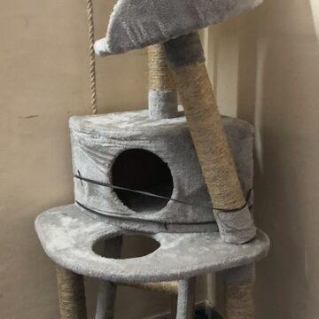 The Drawbacks of Cloth Cat Trees: Why They May Not Be Ideal for Your Pet