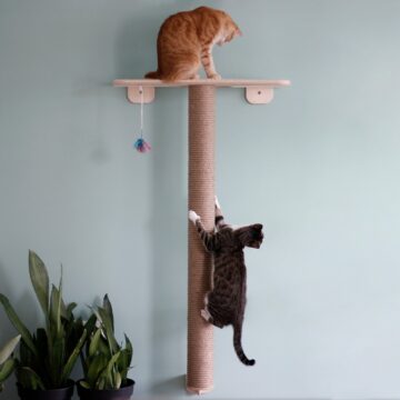 The Benefits of Tall Cat Scratchers: Elevating Your Pet’s Scratching Experience